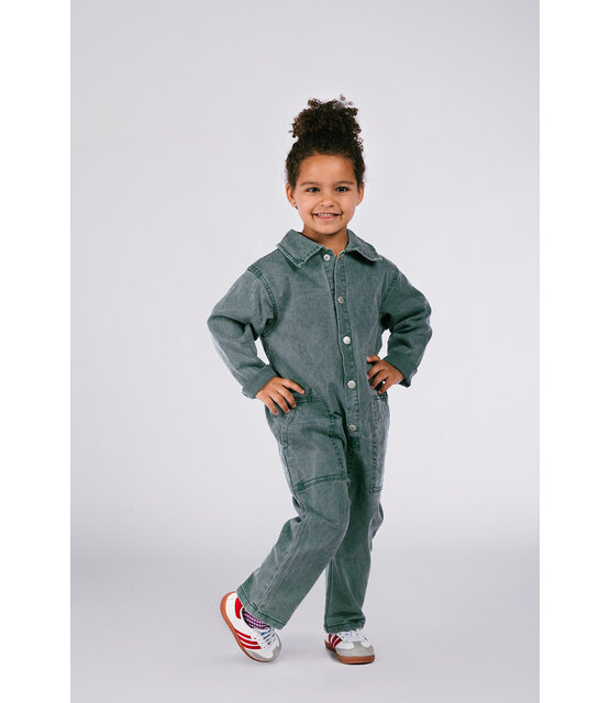 The New Chapter Overall Noï