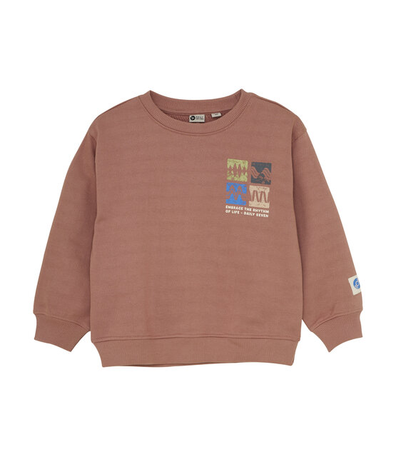 Daily7 Jongens Sweater