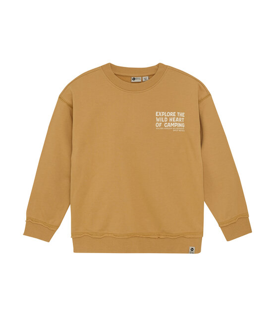 Daily7 Jongens Sweater