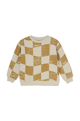 Daily7 Jongens Sweater