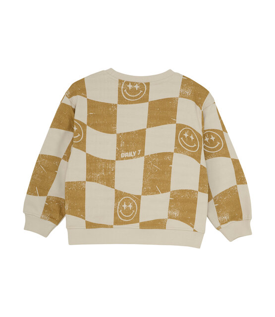 Daily7 Jongens Sweater