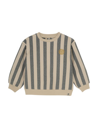 Daily7 Jongens Sweater