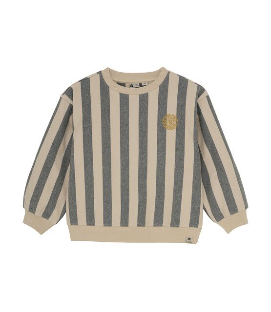 Daily7 Jongens Sweater