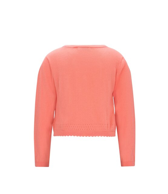 Like Flo Meisjes Vest Derby