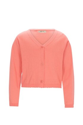 Like Flo Meisjes Vest Derby