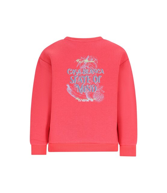 Like Flo Jongens Sweater Dailey