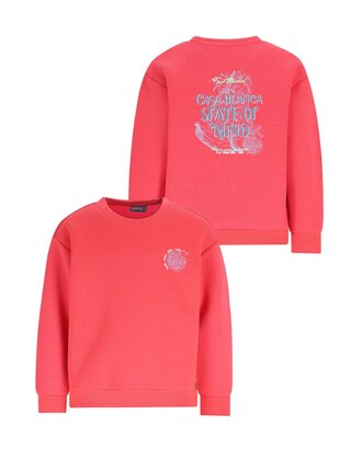 Like Flo Jongens Sweater Dailey