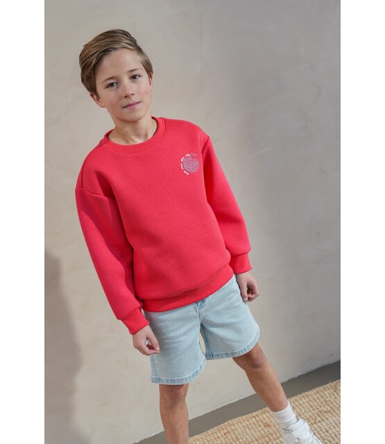 Like Flo Jongens Sweater Dailey