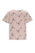 Like Flo Jongens T-shirt Dane