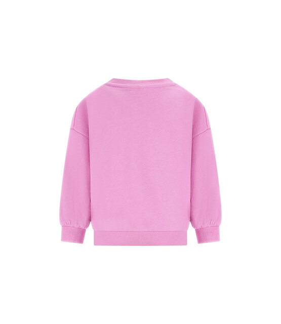 The New Chapter Unisex Sweater Billie