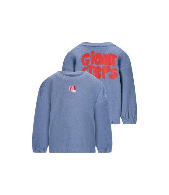 The New Chapter Unisex Sweater Bobbie