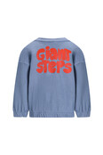 The New Chapter Unisex Sweater Bobbie