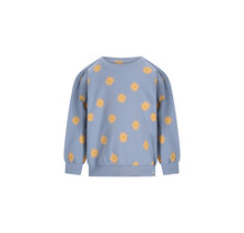 The New Chapter Unisex Sweater Bohdi