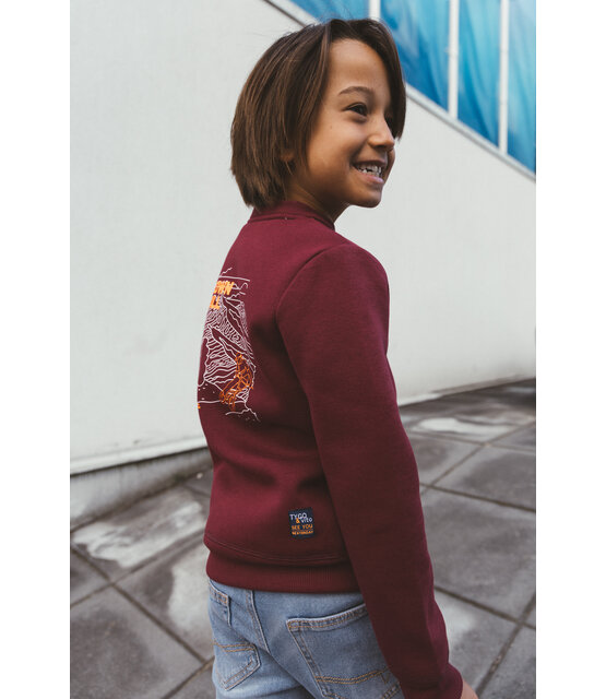 TYGO&vito Jongens Sweater Silver