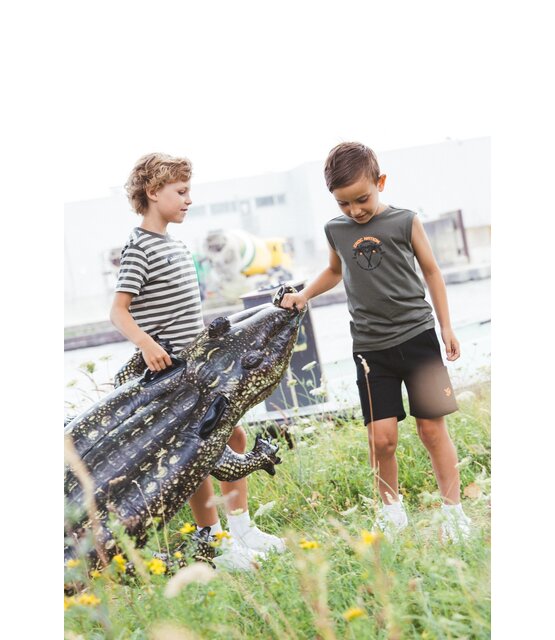TYGO&vito Jongens T-shirt Desmond