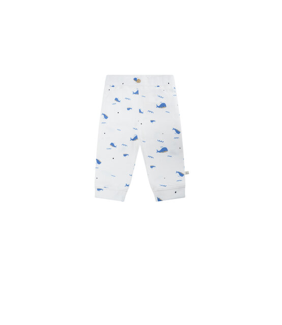 NONO Petite Maison Jongens Broek Sky Jersey