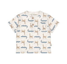 Dirkje Jongens T-Shirt