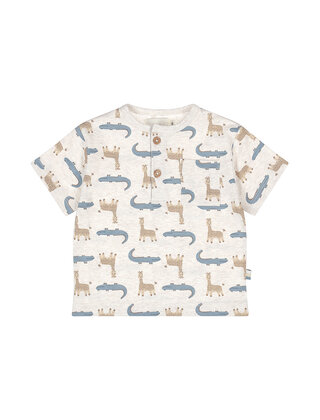 Dirkje Jongens T-Shirt