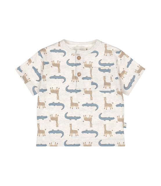 Dirkje Jongens T-Shirt