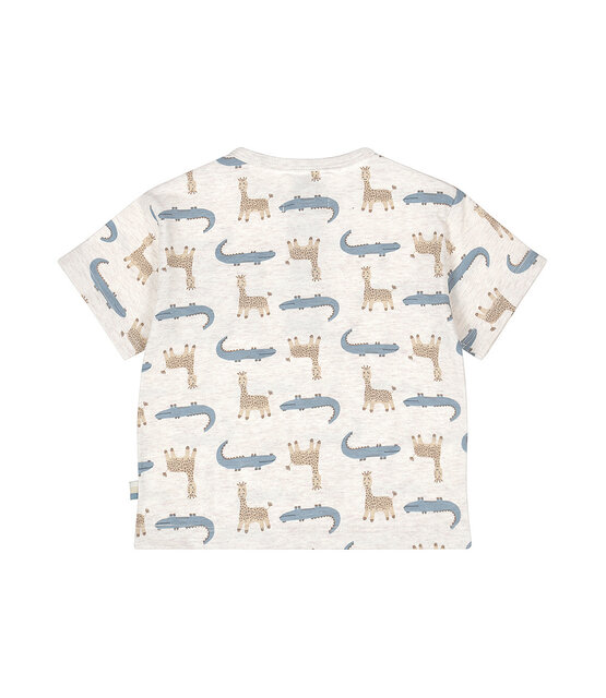 Dirkje Jongens T-Shirt