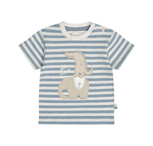 Dirkje Jongens T-Shirt