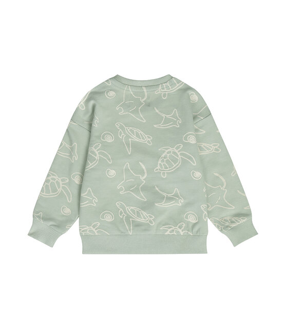 Dirkje Jongens Sweater