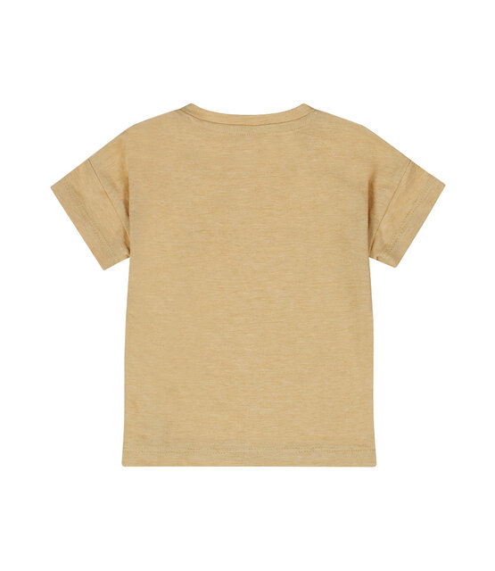Dirkje Jongens T-Shirt