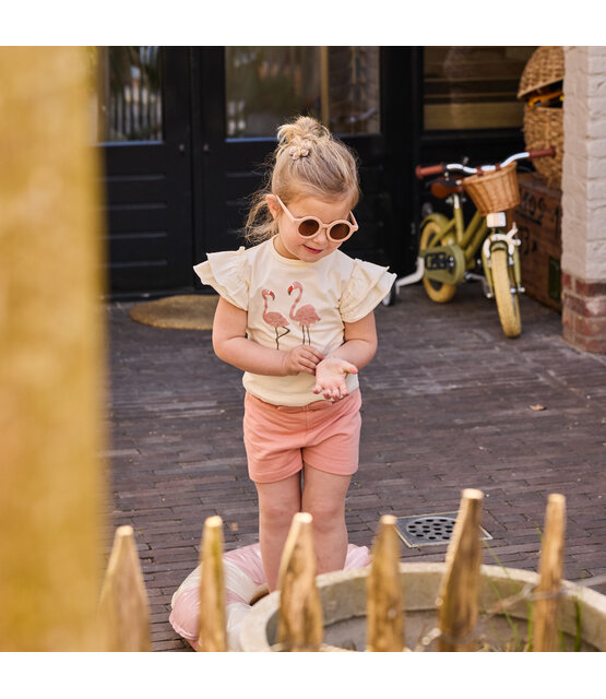 Dirkje Meisjes T-Shirt & Short