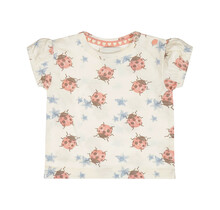Dirkje Meisjes T-Shirt