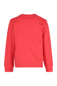 B Nosy Jongens Sweater Scott