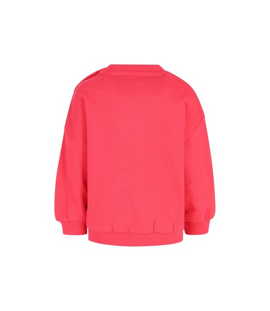 B Nosy Jongens Sweater Billy
