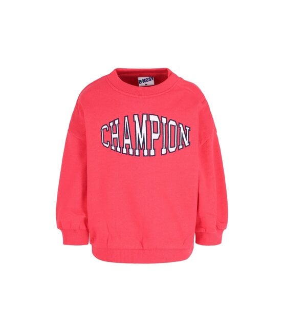 B Nosy Jongens Sweater Billy