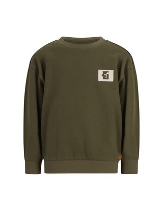 Like Flo Jongens Sweater Dail