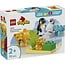 LEGO LEGO Duplo Families van wilde dieren: pinguïns en leeuwen