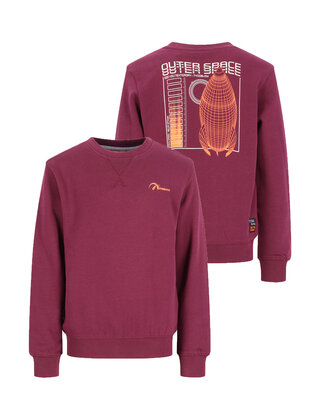 TYGO&vito Jongens Sweater Silver