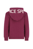 TYGO&vito Jongens Sweater Hobie