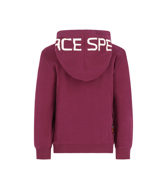TYGO&vito Jongens Sweater Hobie