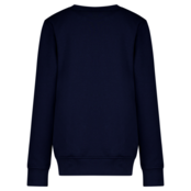 Cars Jeans Jongens Sweater FACCIO