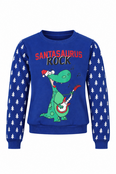 Apollo Jongens Kersttrui Santasaurus