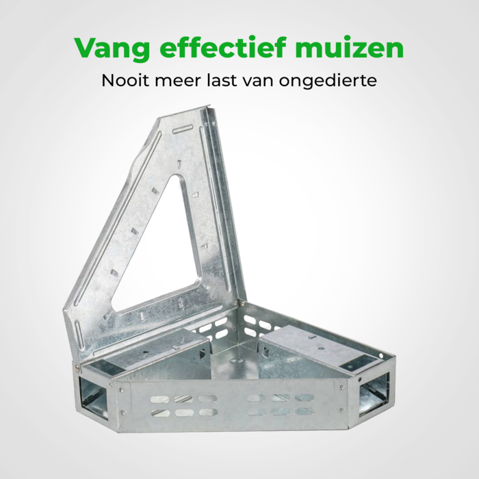 VerminBuster Inloopval Muis Driehoek