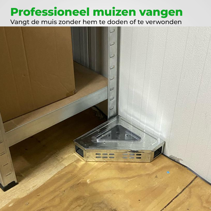 VerminBuster Inloopval Muis Driehoek