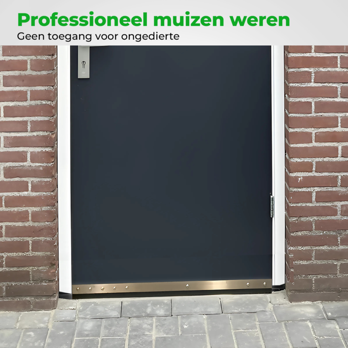 Raxit Deurstrip 30mm met bevestiging - 1 meter
