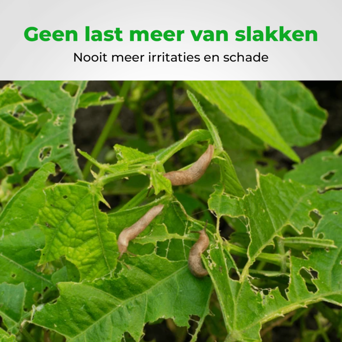 VerminBuster Slakkenval 20 stuks
