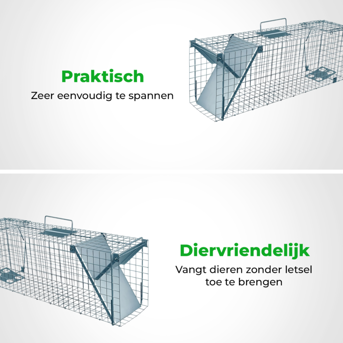 VerminBuster Vangkooi Kat