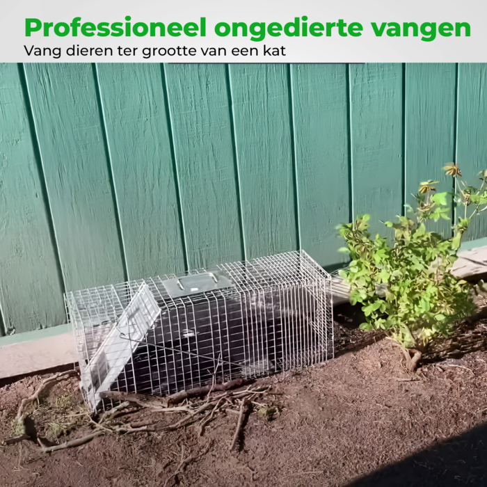 VerminBuster Vangkooi Kat