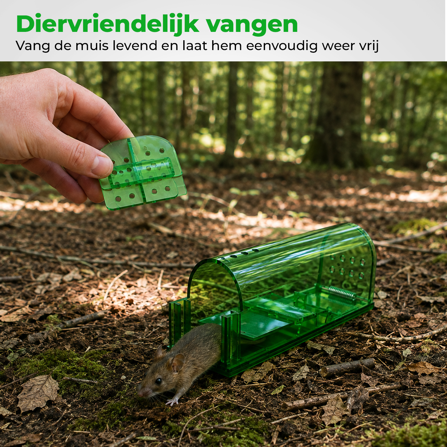 VerminBuster Diervriendelijke Muizenval (2 stuks)
