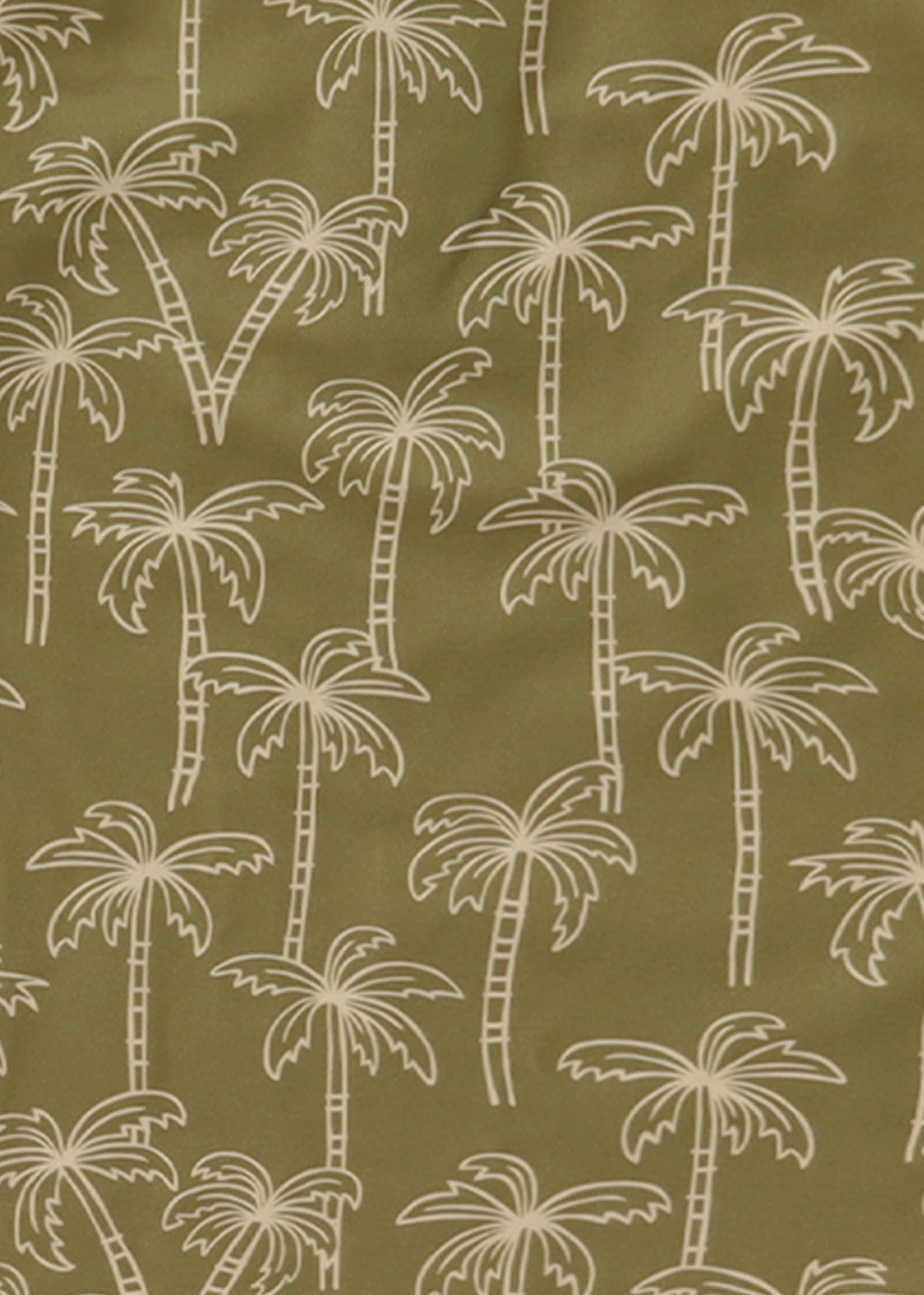 Salted Stories Sverre | Palmtrees