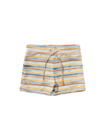 Salted Stories Dyed Stripe | Scott | Multicolor