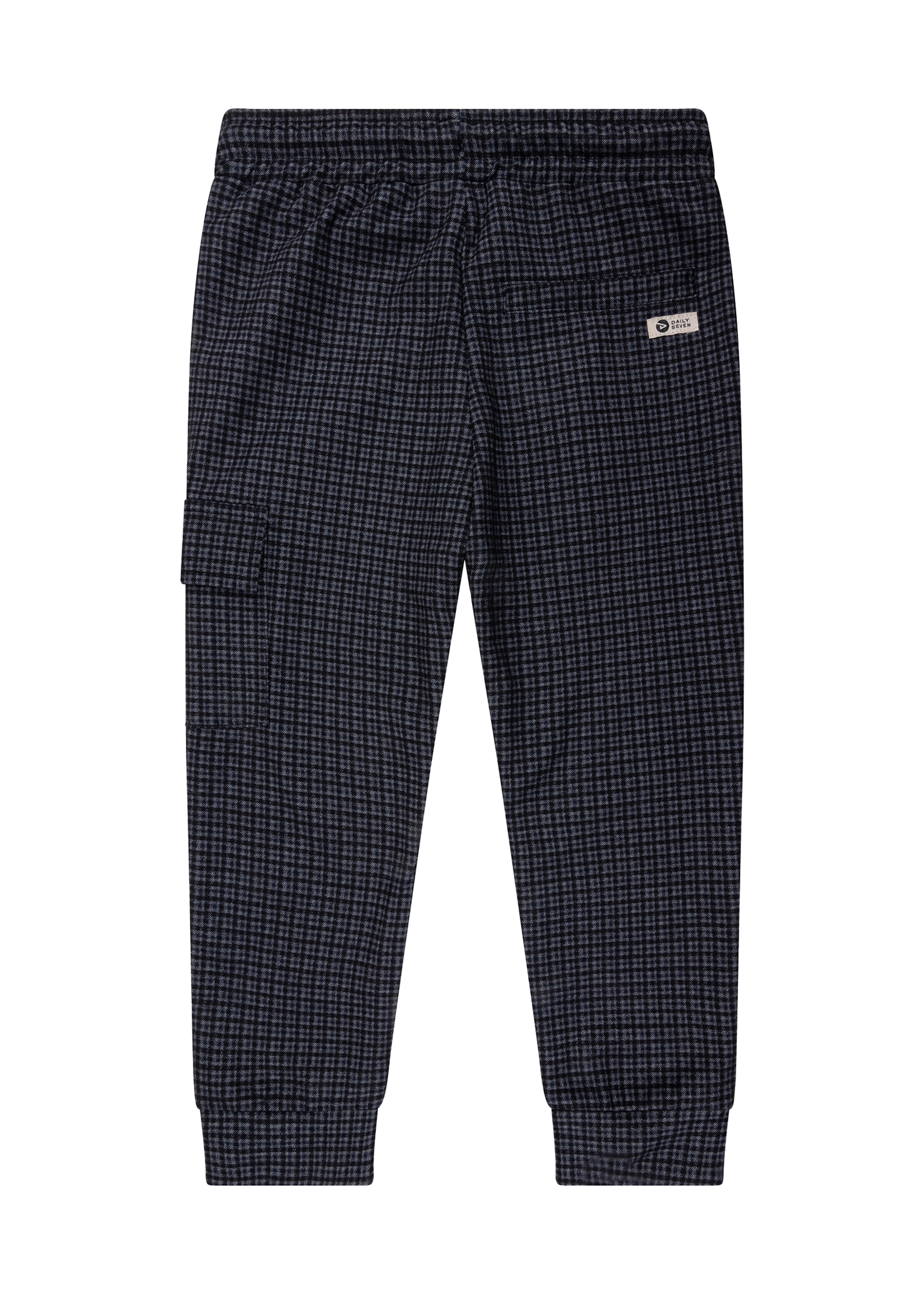 Daily 7 Cargo Small Check Pants | Phantom