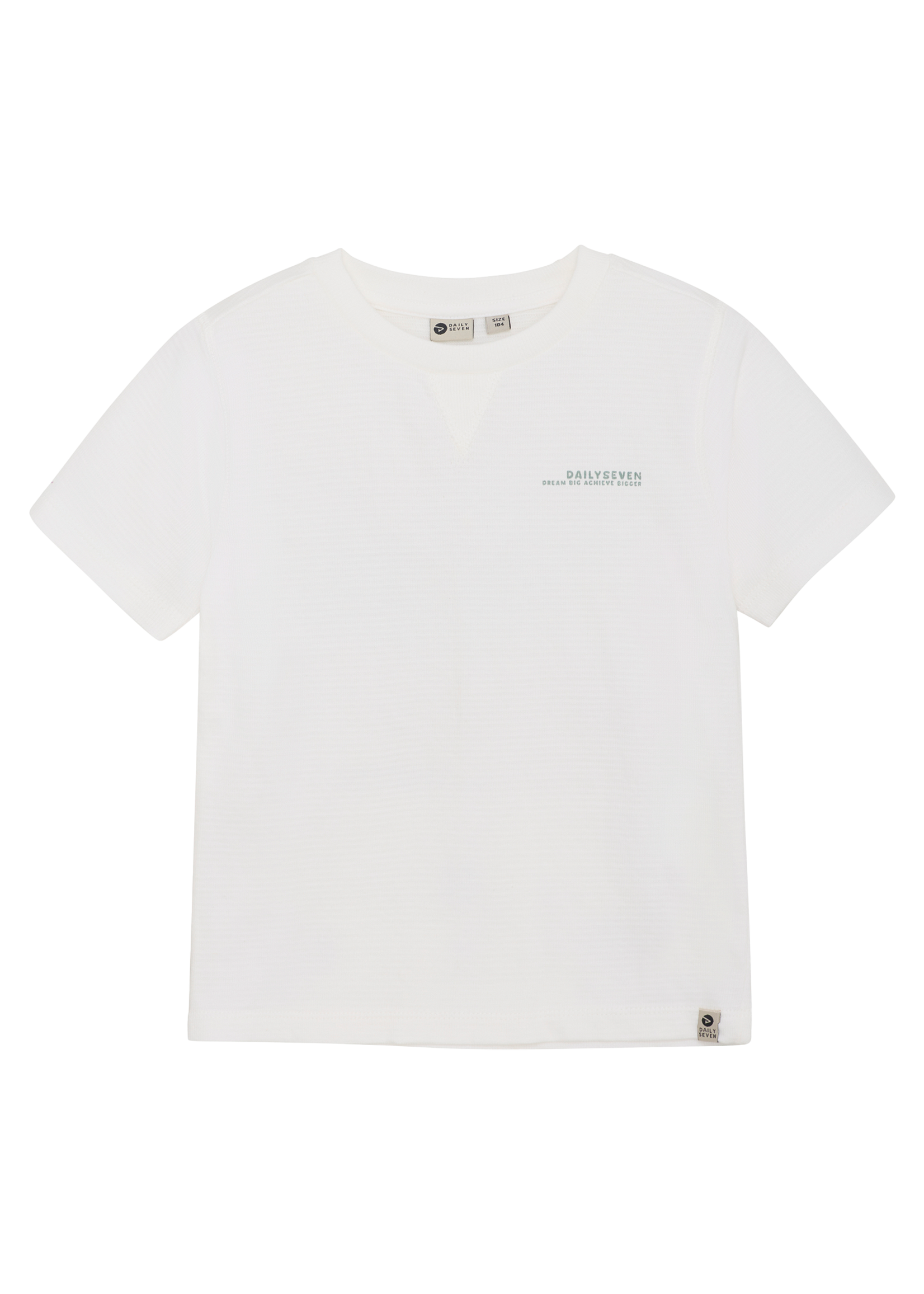 Daily 7 T-shirt Backprint Boys | Cloud